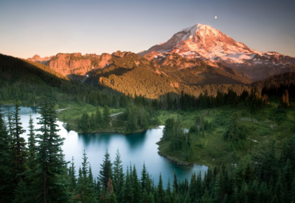 mt-rainer