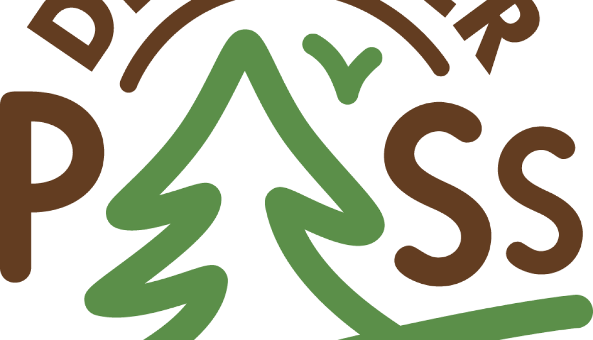 discover-pass-logo