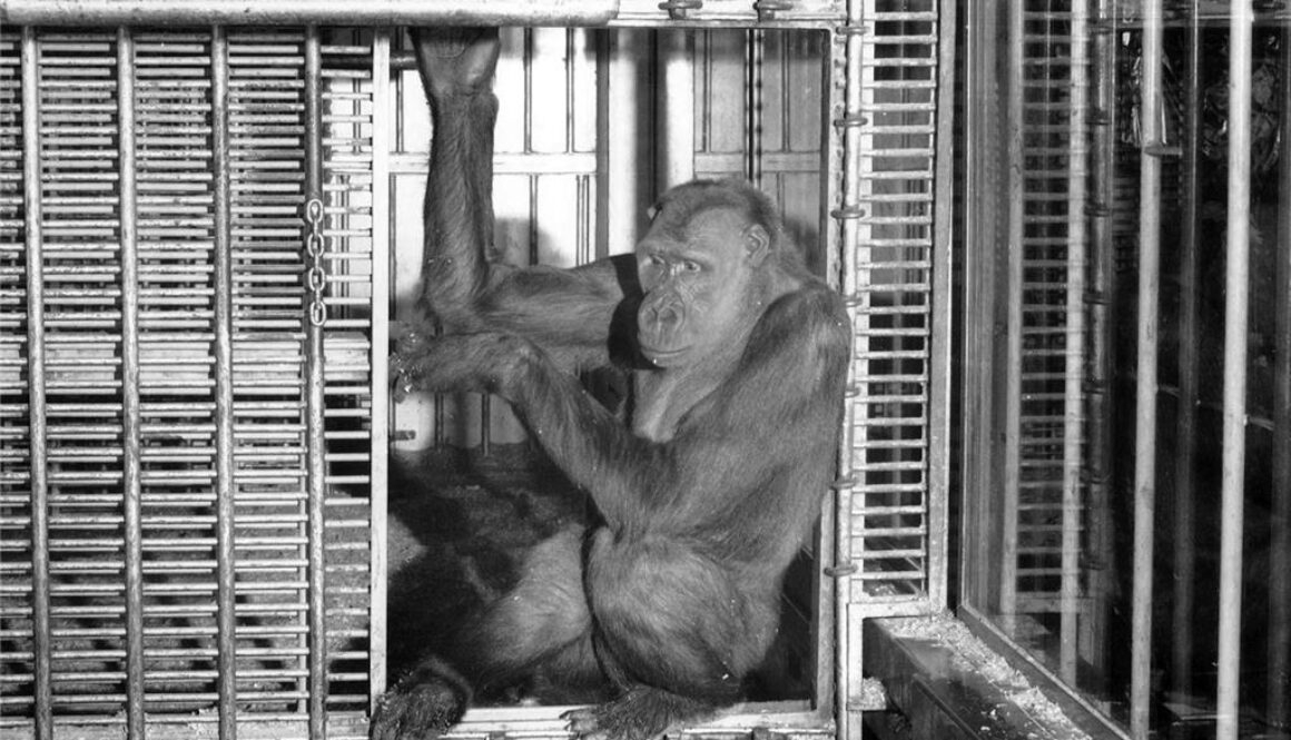 B&I Public Marketplace — A Living Landmark of the South Sound