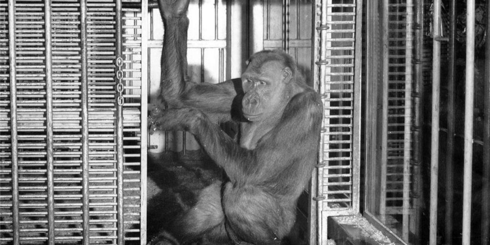 B&I Public Marketplace — A Living Landmark of the South Sound